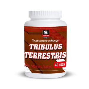 Tribulus Terrestris (40капс)