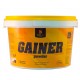 Gainer powder (1кг)